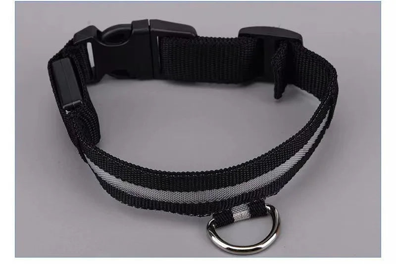 Glowing rechargeable nylon collar dog leash