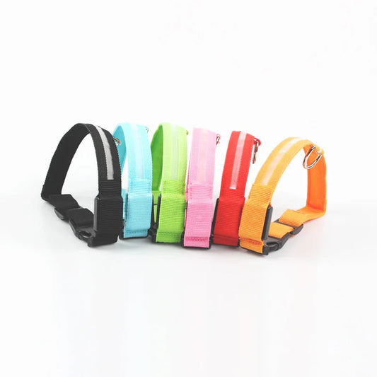 Glowing rechargeable nylon collar dog leash