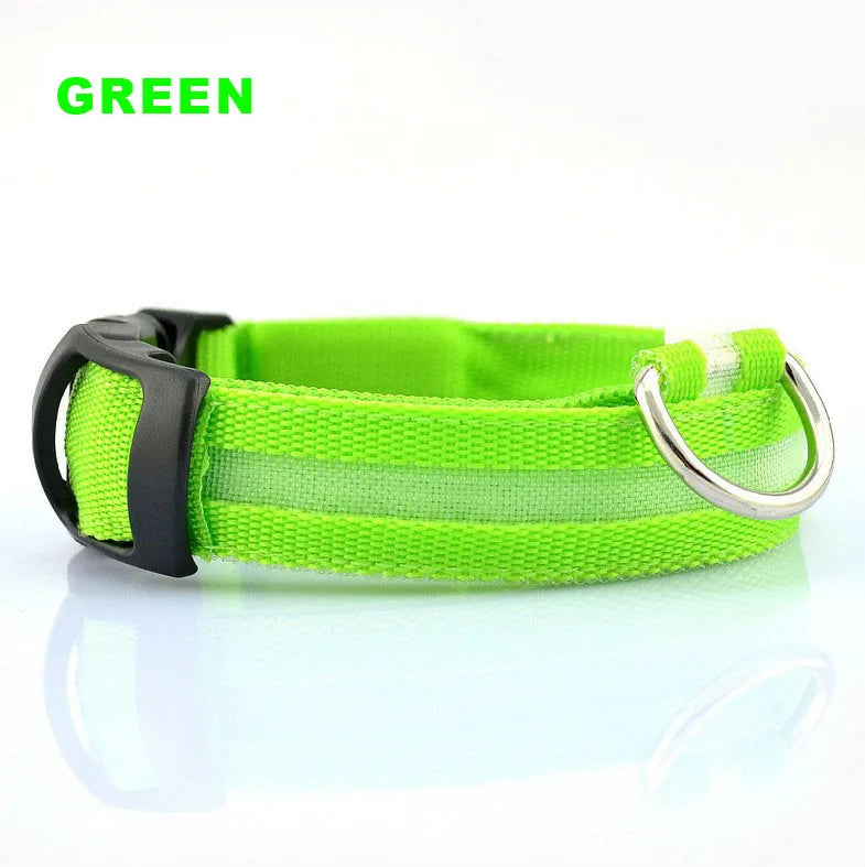 Glowing rechargeable nylon collar dog leash