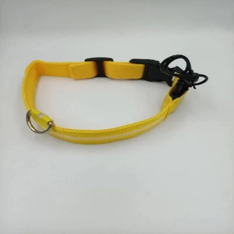 Glowing rechargeable nylon collar dog leash