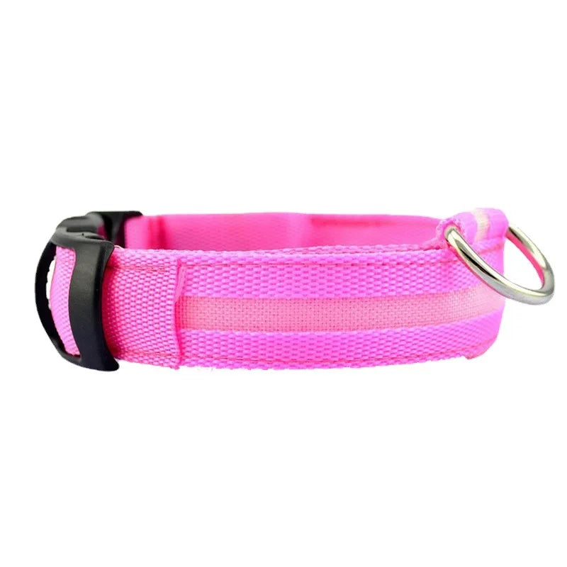 Glowing rechargeable nylon collar dog leash