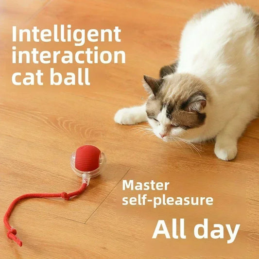 Cat Interactive Ball Toy Automatic Rolling Ball