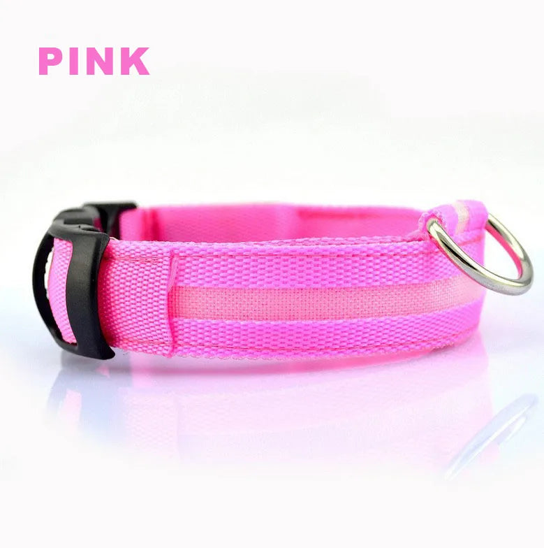 Glowing rechargeable nylon collar dog leash