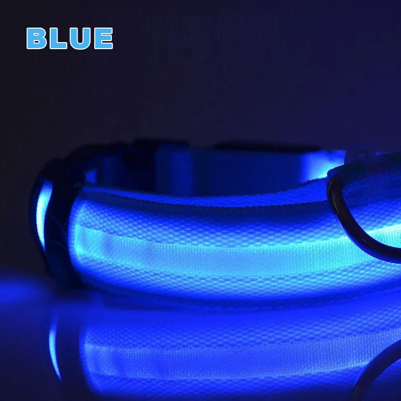 Glowing rechargeable nylon collar dog leash