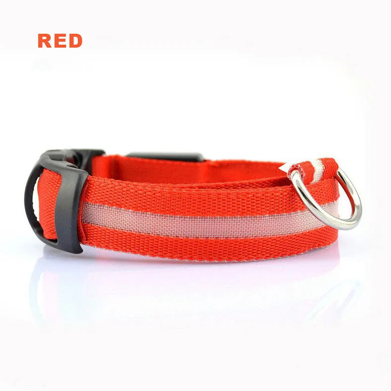 Glowing rechargeable nylon collar dog leash