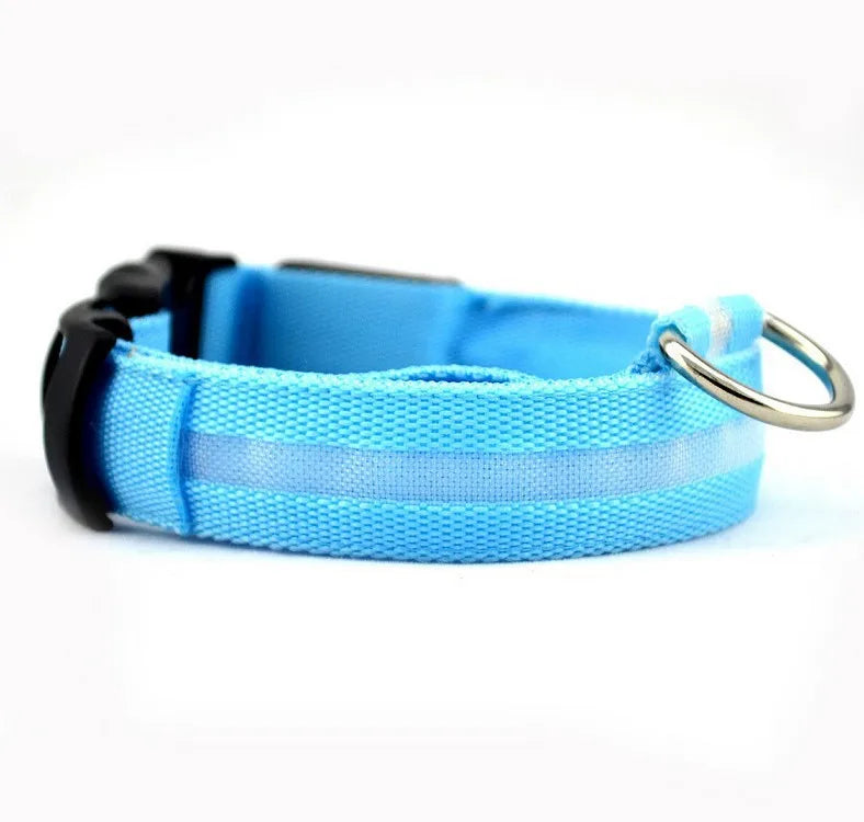 Glowing rechargeable nylon collar dog leash